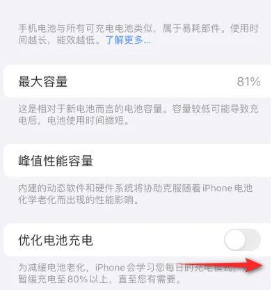 竞秀苹果15维修分享iPhone15充电到80%就充不进电了怎么办 