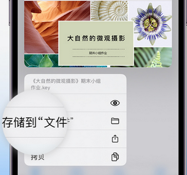 竞秀apple维修中心分享iPhone文件应用中存储和找到下载文件