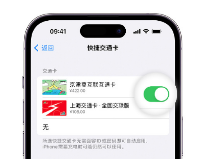 竞秀apple维修点分享iPhone上更换Apple Pay快捷交通卡手绘卡面 