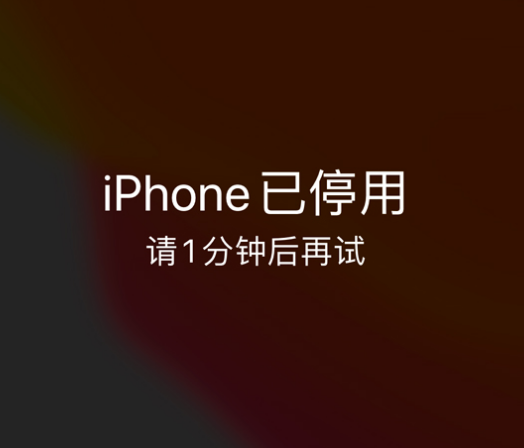 竞秀苹果手机维修分享:iPhone 显示“不可用”或“已停用”怎么办？还能保留数据吗？ 