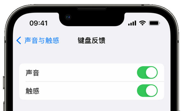 竞秀苹果手机维修分享iPhone 14触感键盘使用方法 