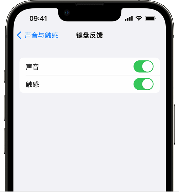 竞秀苹果14维修店分享如何在 iPhone 14 机型中使用触感键盘 