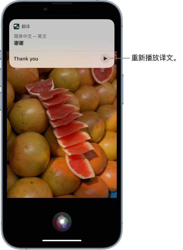 竞秀苹果14维修分享 iPhone 14 机型中使用 Siri：了解 Siri 能帮你做什么 