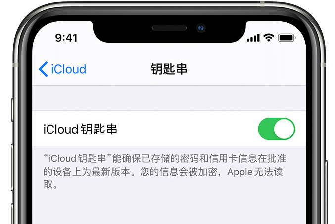 竞秀苹果手机维修分享在 iPhone 上开启 iCloud 钥匙串之后会储存哪些信息 