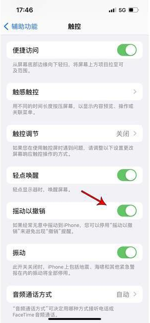 竞秀苹果手机维修分享iPhone手机如何设置摇一摇删除文字 