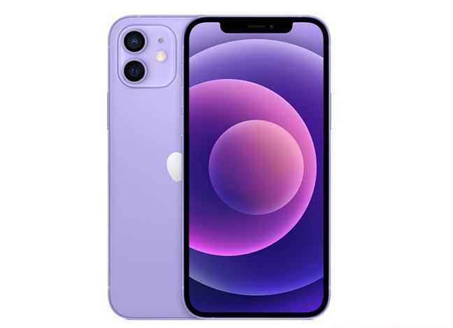 竞秀苹果手机维修分享现阶段要不要入手紫色版iPhone12 